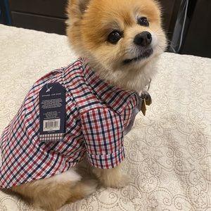 ROLLED SLEEVE BUTTON-DOWN DOG SHIRT - Plaid